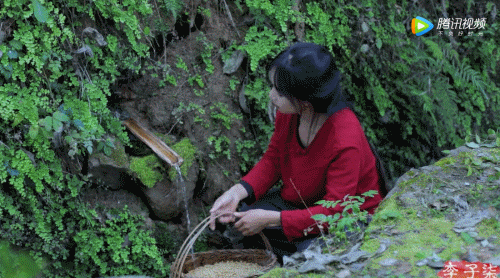 5.gif 5.gif