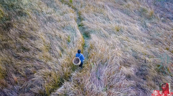 6.gif 6.gif